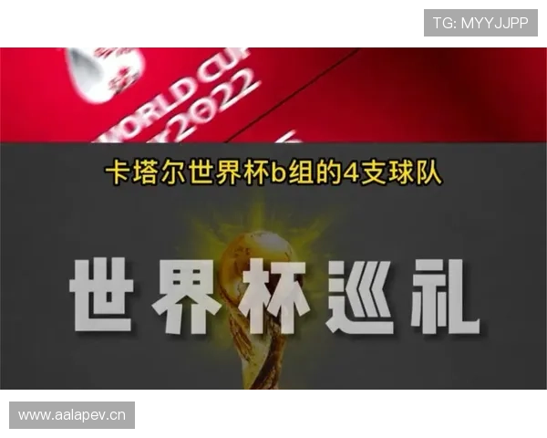 世界杯C组海地后防线实力评估
